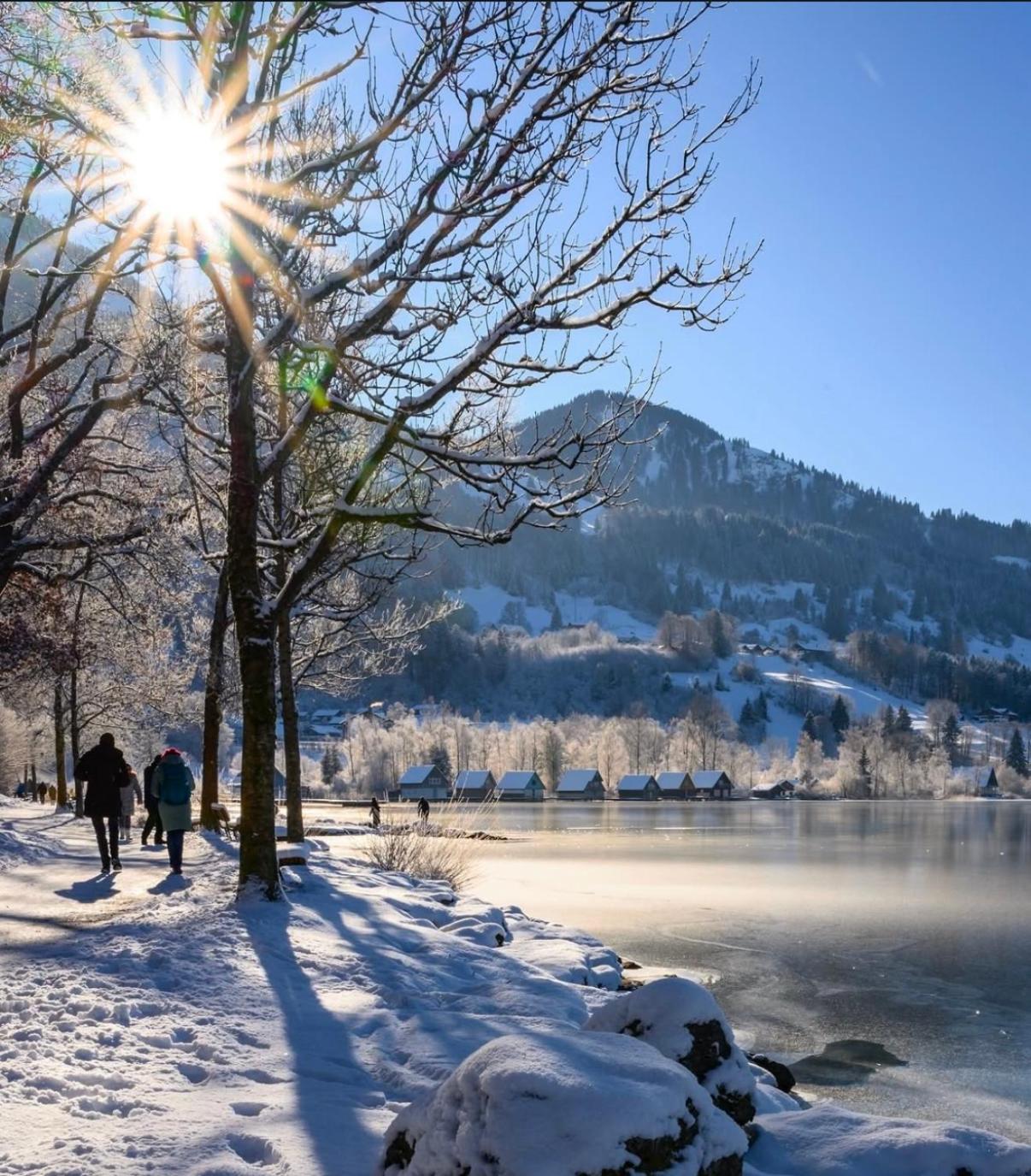 Gemuetliche Ferienwohnung Mit Berg Und Alpsee Panorama Im Allgaeu Immenstadt im Allgäu Buitenkant foto